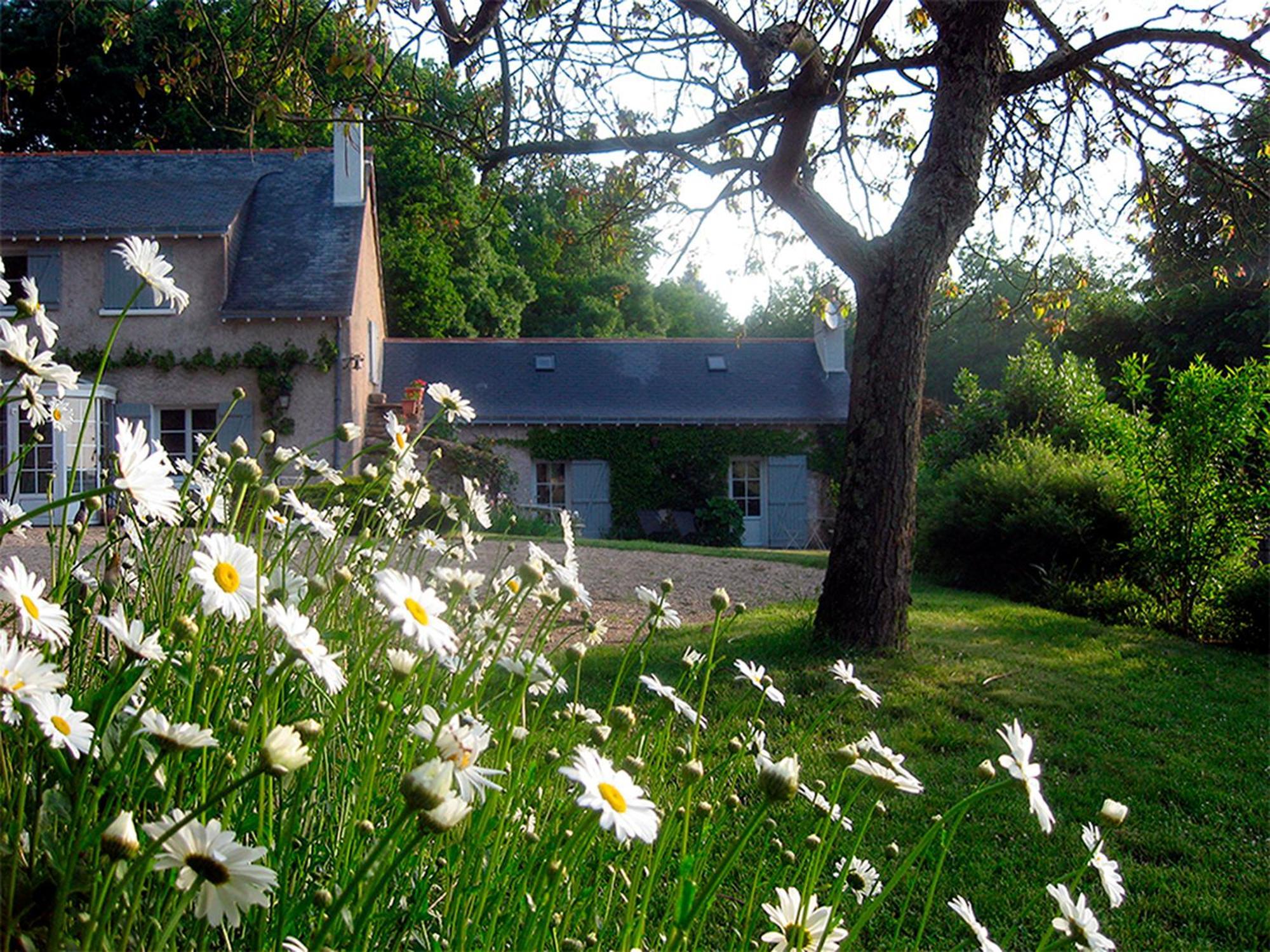 Bed and Breakfast La Butte De Gohier Blaison Екстер'єр фото