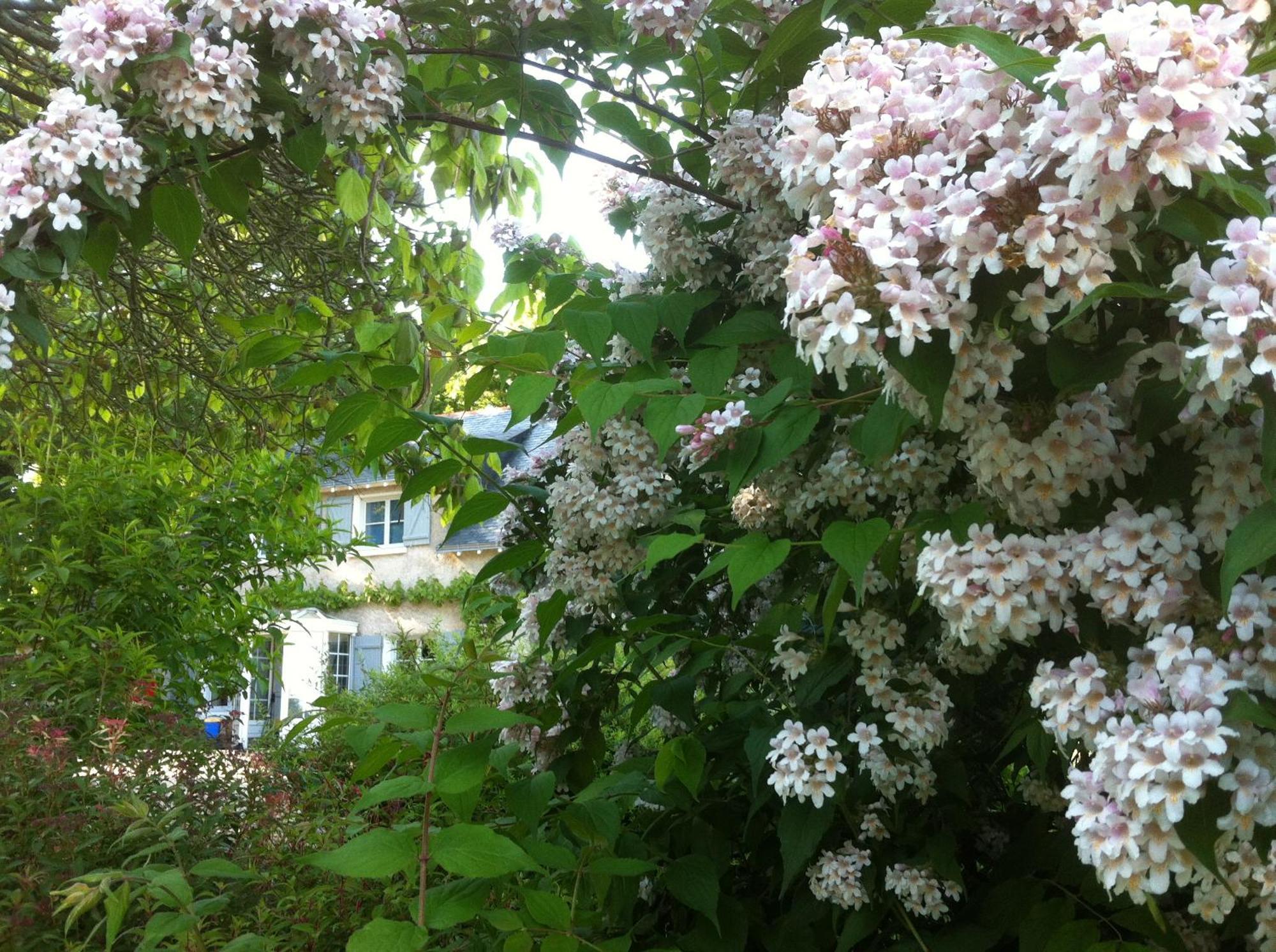 Bed and Breakfast La Butte De Gohier Blaison Екстер'єр фото